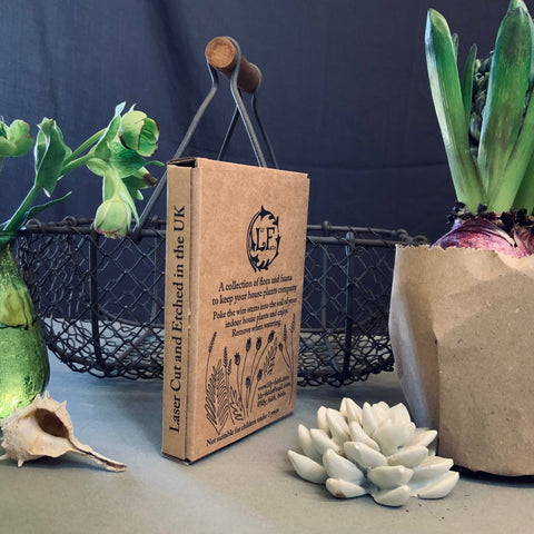 Wren Plant Pot Companions - Sprouts of Bristol