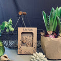 Wren Plant Pot Companions - Sprouts of Bristol