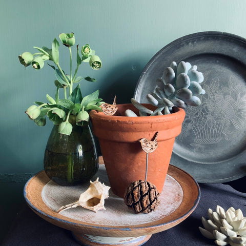 Wren Plant Pot Companions - Sprouts of Bristol
