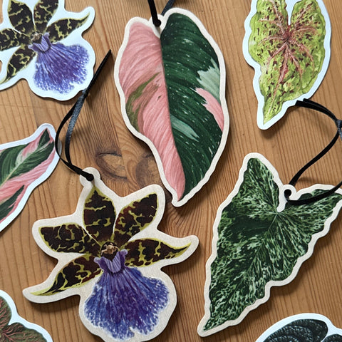 Zygopetalum Orchid Wooden Decoration [Beneath the Canopy RHS Collab] - Sprouts of Bristol