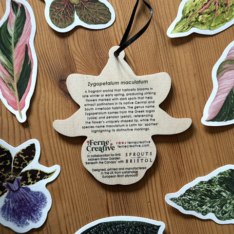 Zygopetalum Orchid Wooden Decoration [Beneath the Canopy RHS Collab] - Sprouts of Bristol