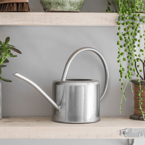 1.9L Indoor Watering Can - Silver - Sprouts of Bristol