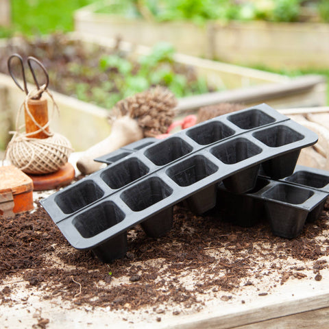 20 Cell Natural Rubber Seed Tray - Sprouts of Bristol