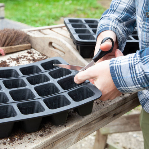 20 Cell Natural Rubber Seed Tray - Sprouts of Bristol