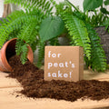 3 L Peat-free Coir Compost - Sprouts of Bristol
