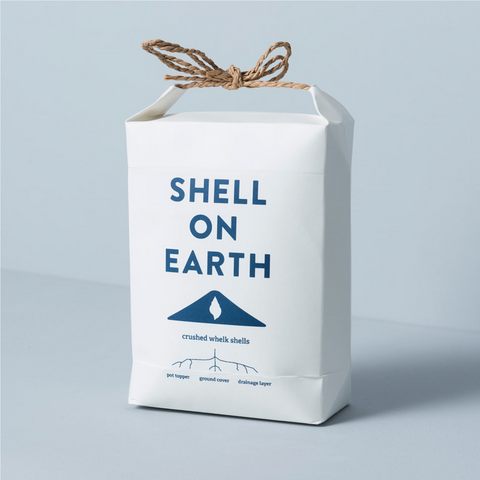 Shell on Earth - Crushed Whelk Shells