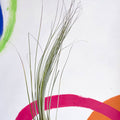 Air Plant - Tillandsia juncea - Sprouts of Bristol