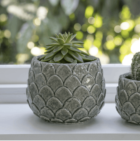 Artichoke Pot - 20cm - Sprouts of Bristol