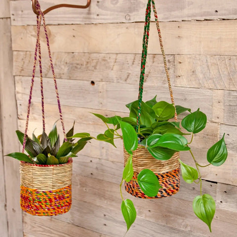 Artisan Cylindrical Hanging Plant Basket: Small - Sprouts of Bristol