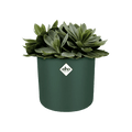B.For Soft Round Pot - Sprouts of Bristol