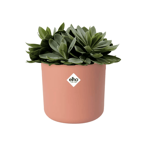 B.For Soft Round Pot - Sprouts of Bristol