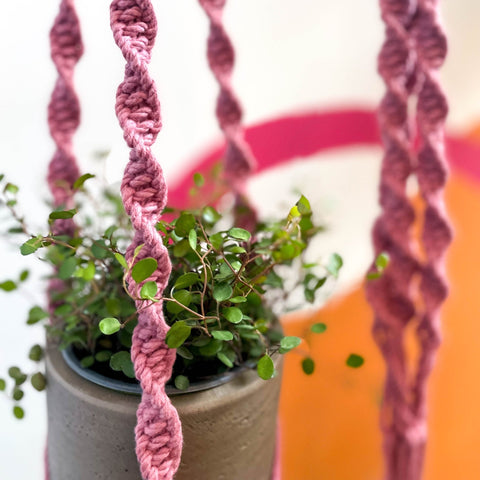 Blossom Pink Macrame Plant Hanger - Sprouts of Bristol