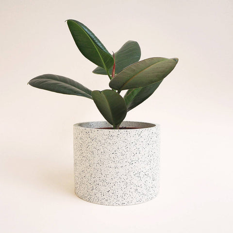 Blue Granite Jesmonite Pot - Sprouts of Bristol