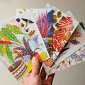 Botanicals Set 1 - Postcard Pack - Sprouts of Bristol