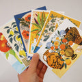 Botanicals Set 2- Postcard Pack - Sprouts of Bristol