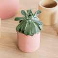 Brick Red Bamburgh Pot - Sprouts of Bristol
