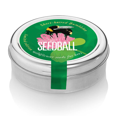 Bumblebee Seedball Wildflower Tins: Blue - Sprouts of Bristol