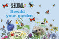 Bumblebee Seedball Wildflower Tins: Blue - Sprouts of Bristol