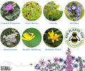 Bumblebee Seedball Wildflower Tins: Blue - Sprouts of Bristol
