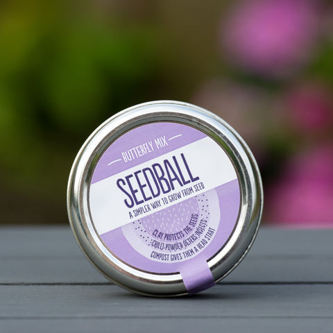 Butterfly Mix Seedball - Sprouts of Bristol