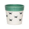 Butterfly Planter - Sprouts of Bristol