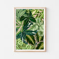 Calathea A3 Print by Alice Landen - Sprouts of Bristol