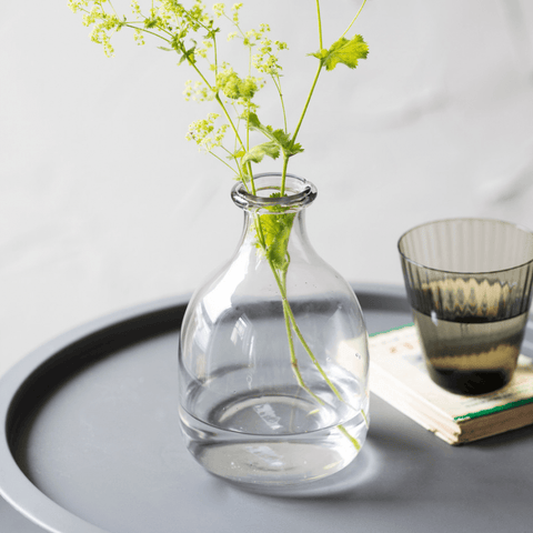 Clearwell Glass Bottle Vase - Sprouts of Bristol