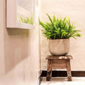 Como Oval Pot - Sprouts of Bristol