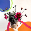 Dahlia lubega 'Dark Velvet' - Cotswold Grown Perennial - Sprouts of Bristol