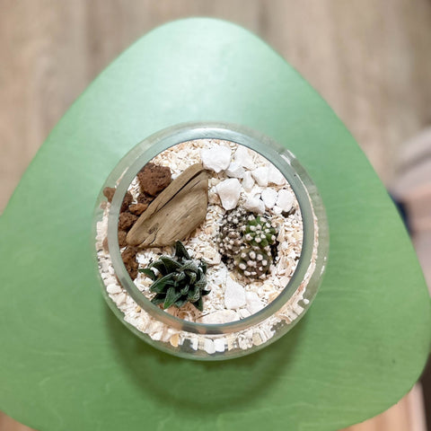 Desert Terrarium Bowl - Sprouts of Bristol