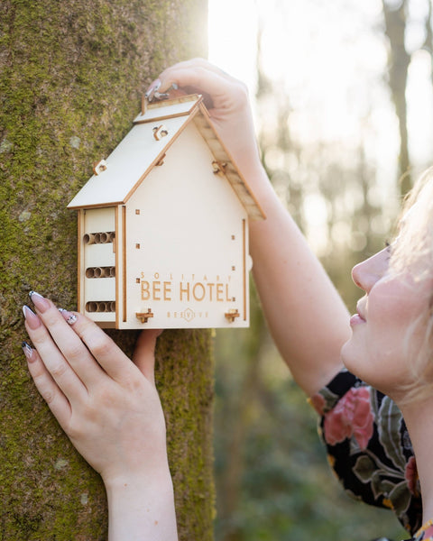 DIY Bee Hotel Kit - Sprouts of Bristol