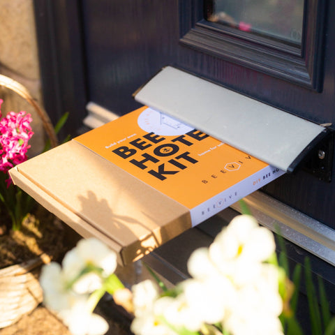 DIY Bee Hotel Kit - Sprouts of Bristol