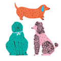 Dogs Vinyl Sticker Pack - Sprouts of Bristol