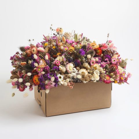 Dried Flower Bouquet; chemical-free, low-carbon, grown by a social enterprise in Bristol - Sprouts of Bristol