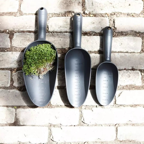 Garden Scoop - Sprouts of Bristol