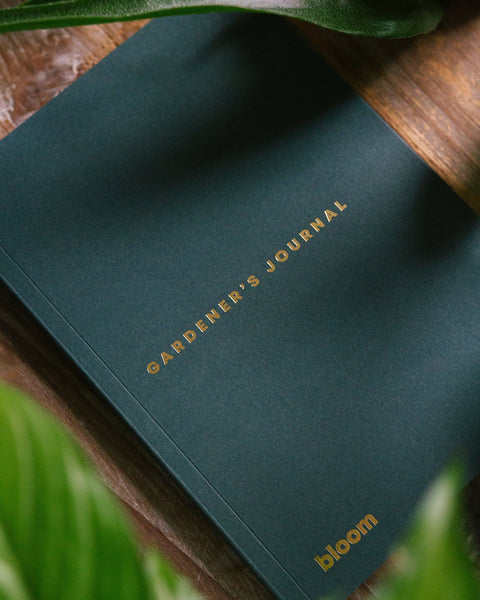 Gardener's Journal - Sprouts of Bristol