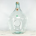 Glass Demi-John Open Terrarium - Sprouts of Bristol