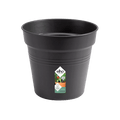 Green Basics Nursery Grow Pot - Sprouts of Bristol