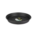 Green Basics Nursery Saucer - Sprouts of Bristol