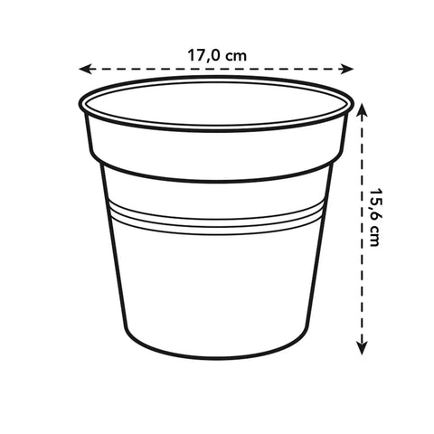 Green Basics Orchid Nursery Pot - Transparent - Sprouts of Bristol