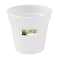 Green Basics Orchid Nursery Pot - Transparent - Sprouts of Bristol
