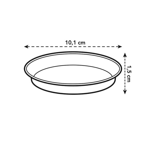 Green Basics Orchid Nursery Saucer - Transparent - Sprouts of Bristol