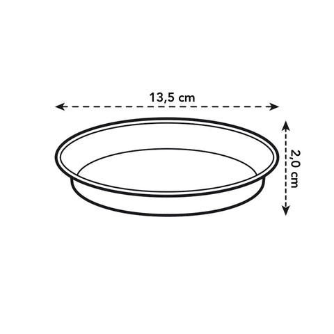 Green Basics Orchid Nursery Saucer - Transparent - Sprouts of Bristol