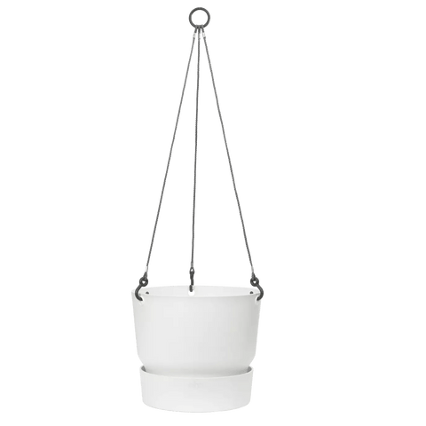 Greenville Hanging Basket - Sprouts of Bristol