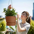 Greenville Hanging Basket - Sprouts of Bristol