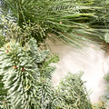 Handmade Fresh Foliage Christmas Wreath - No.8 - Sprouts of Bristol
