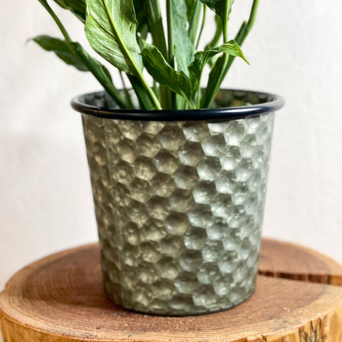 Hexagonal Zinc Metal Planter - Various Sizes - Sprouts of Bristol