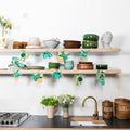 Houseplants Sewn Garland - Sprouts of Bristol