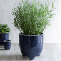 Ink Blue Positano Pot - Sprouts of Bristol