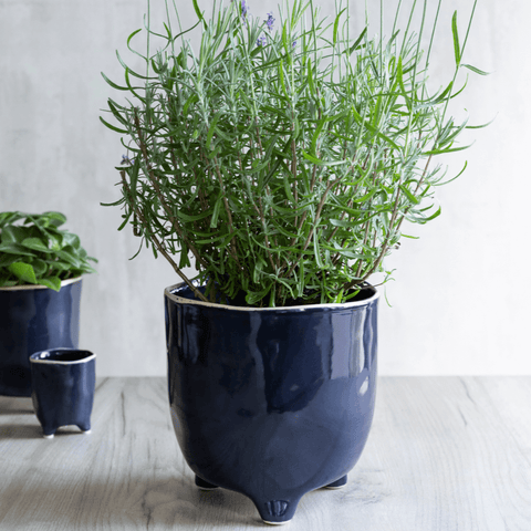 Ink Blue Positano Pot - Sprouts of Bristol